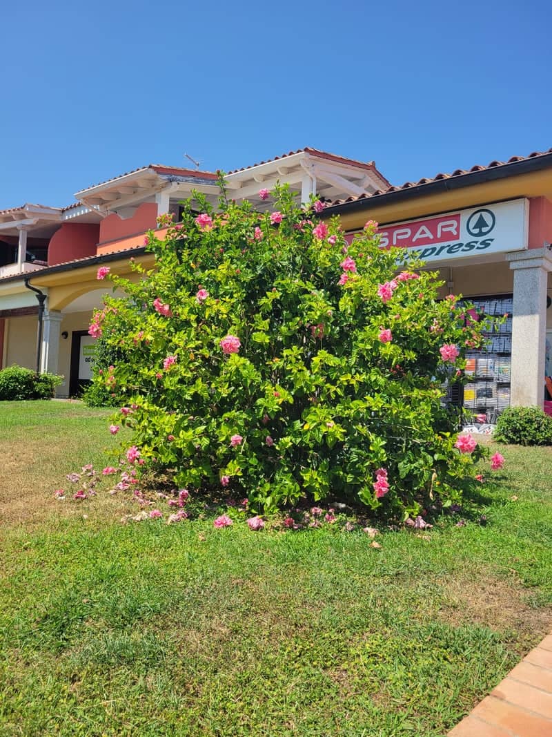 Budoni Commercial Center Garden - Image 1