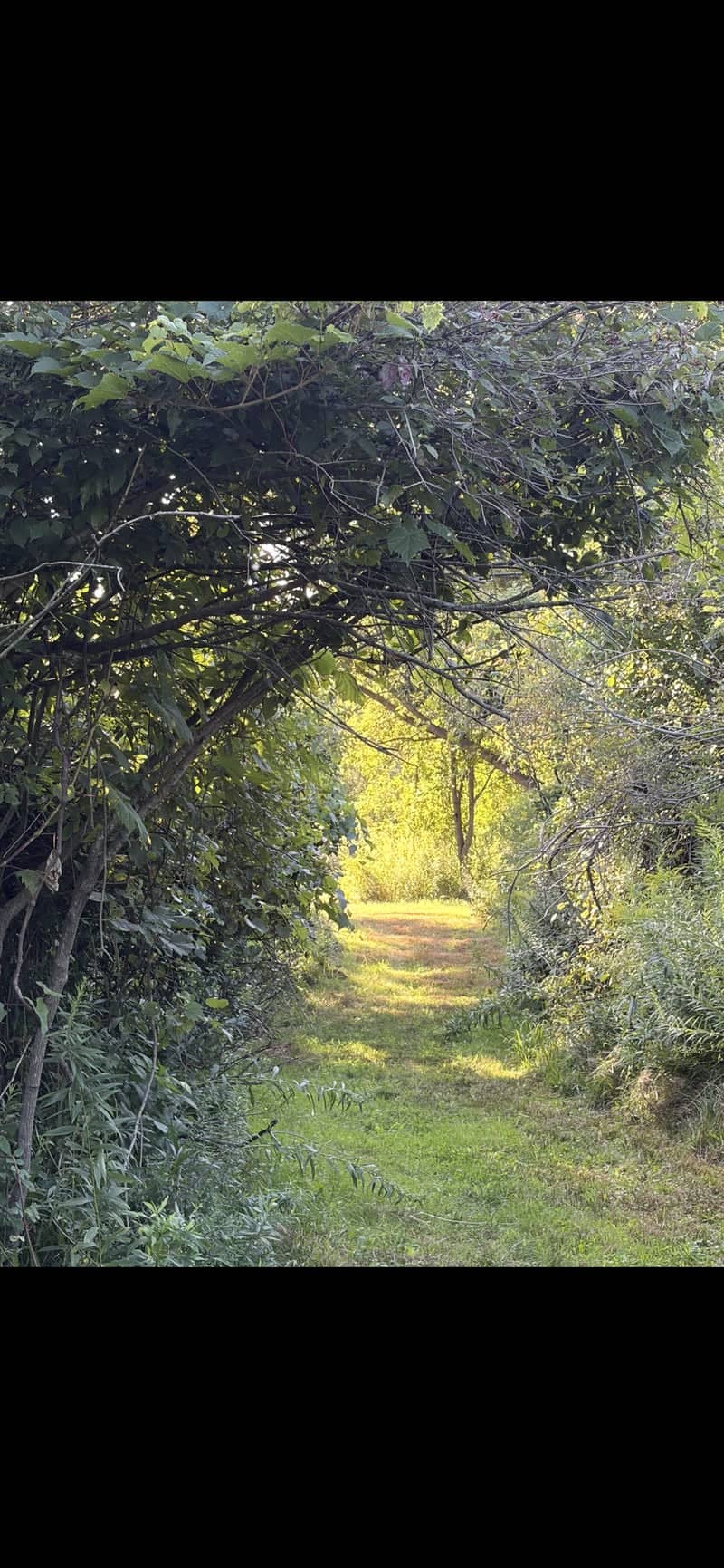 Bullard Park Nature Trail - Image 1