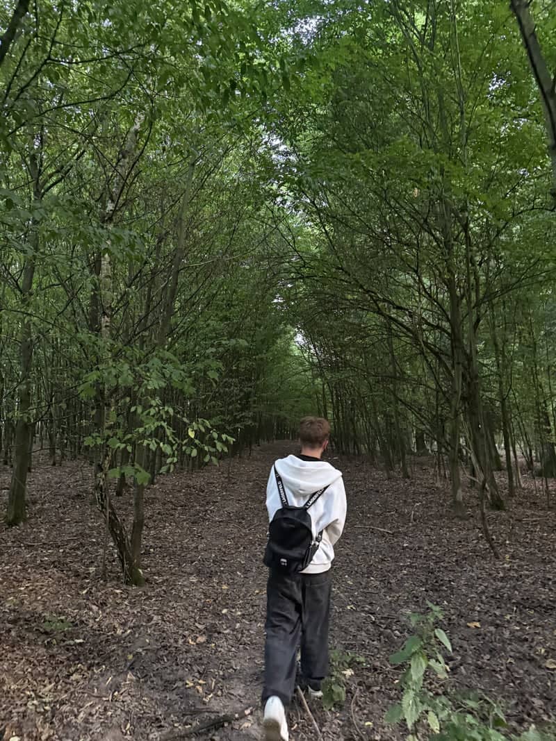 Jíloviště Forest Trail - Image 1