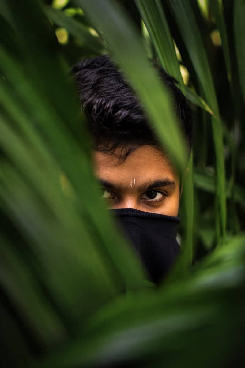 Lush Palm Portrait Spot, Ernakulam - Image 1