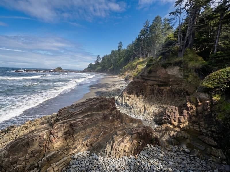 Rugged Pacific Coastline - Image 1