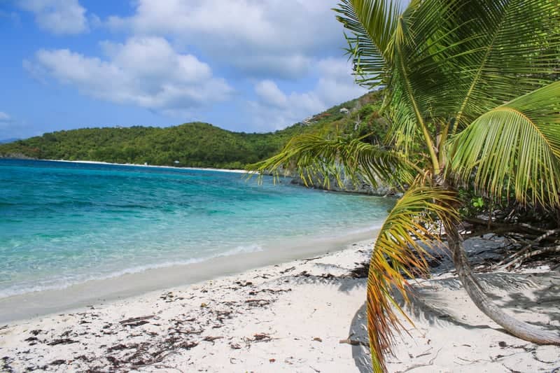Tropical Turquoise Bay - Image 1