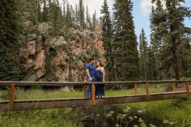 Jemez Mountains Forest Bridge - Image 1