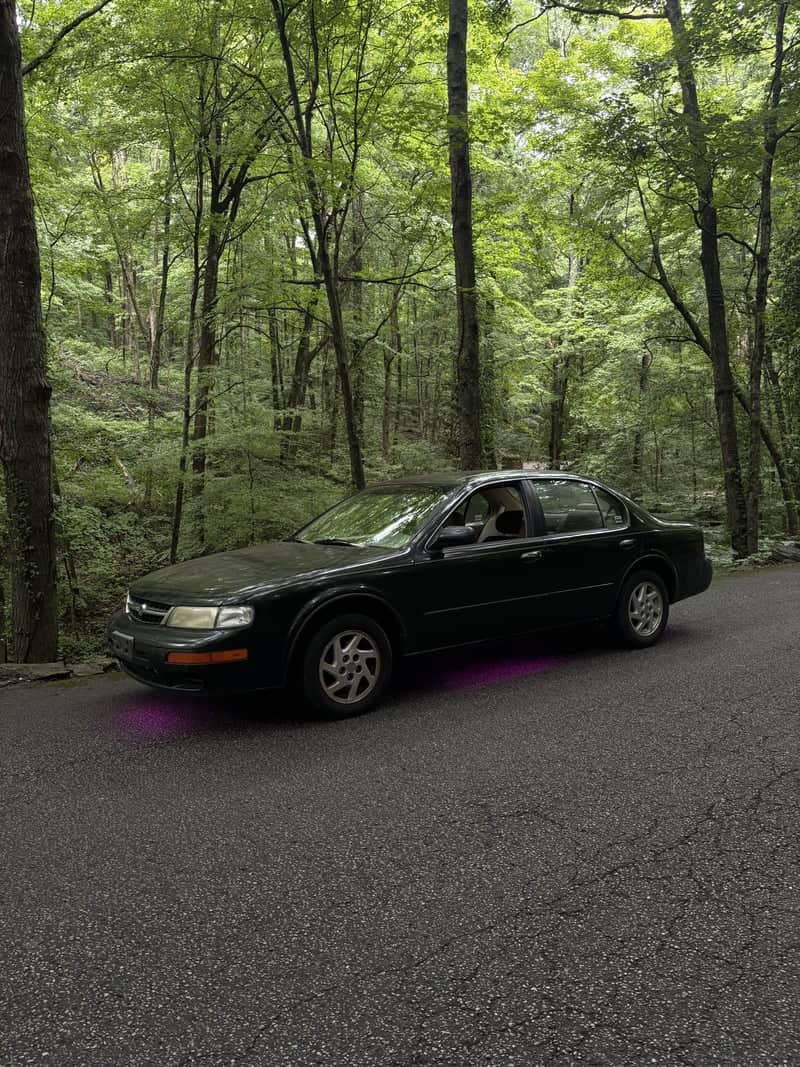 Muscatatuck County Park Forest Road - Image 1