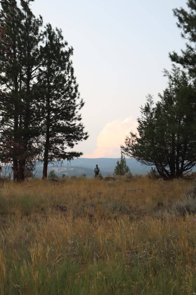 Elkhorn Mountains Foothills - Image 1