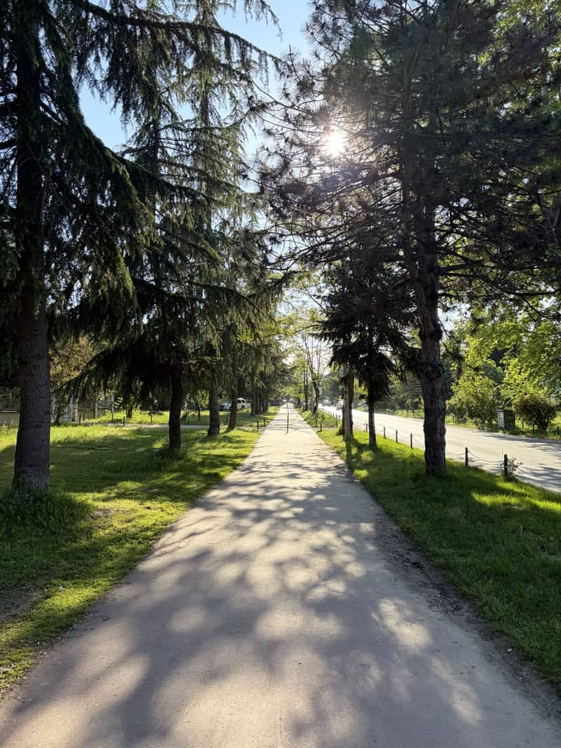 Soğuksu Tree-lined Walkway - Image 1
