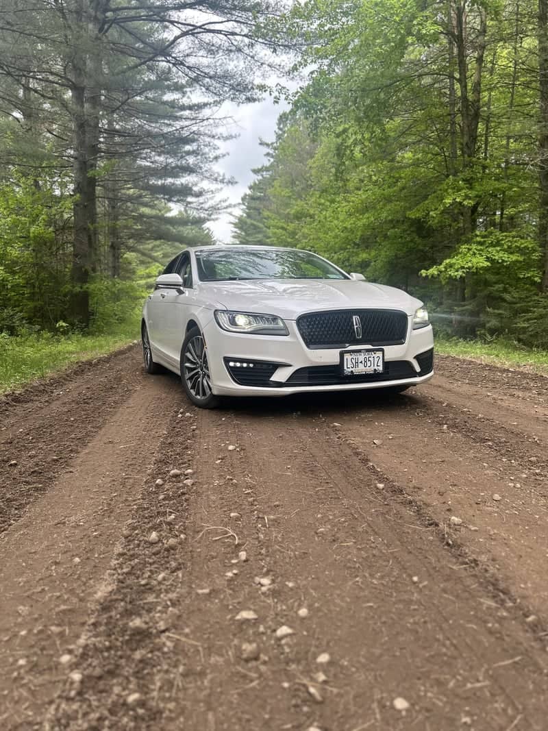 Adirondack Forest Road - Image 1