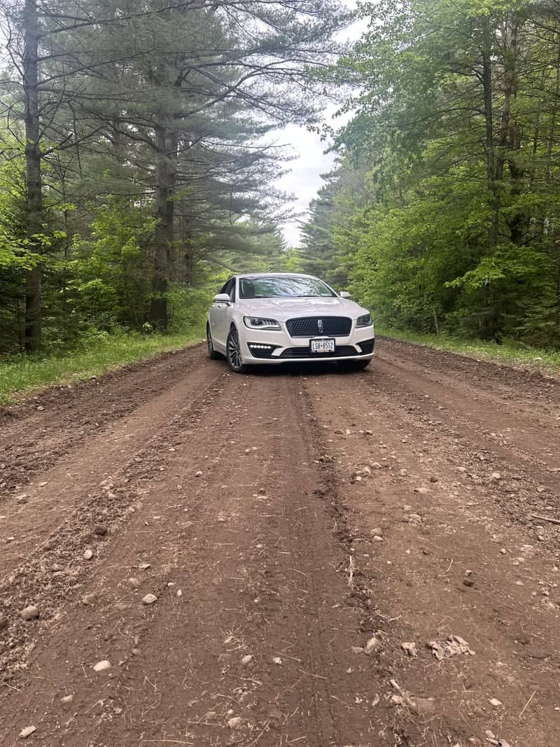 Adirondack Forest Backroad - Image 1