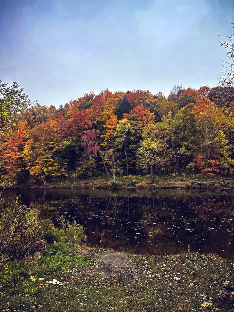 Salmon River Autumn Overlook - Image 1