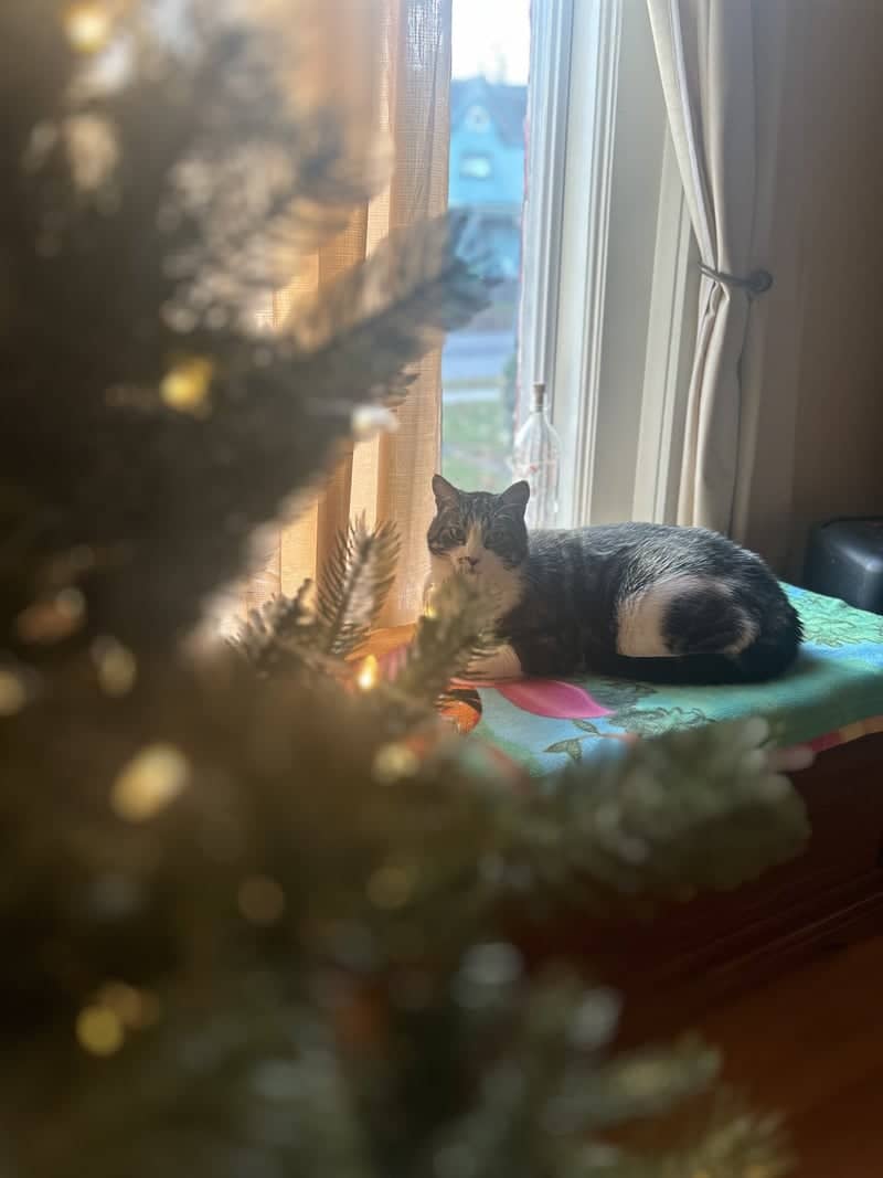 Cozy Window Nook in Malone - Image 1