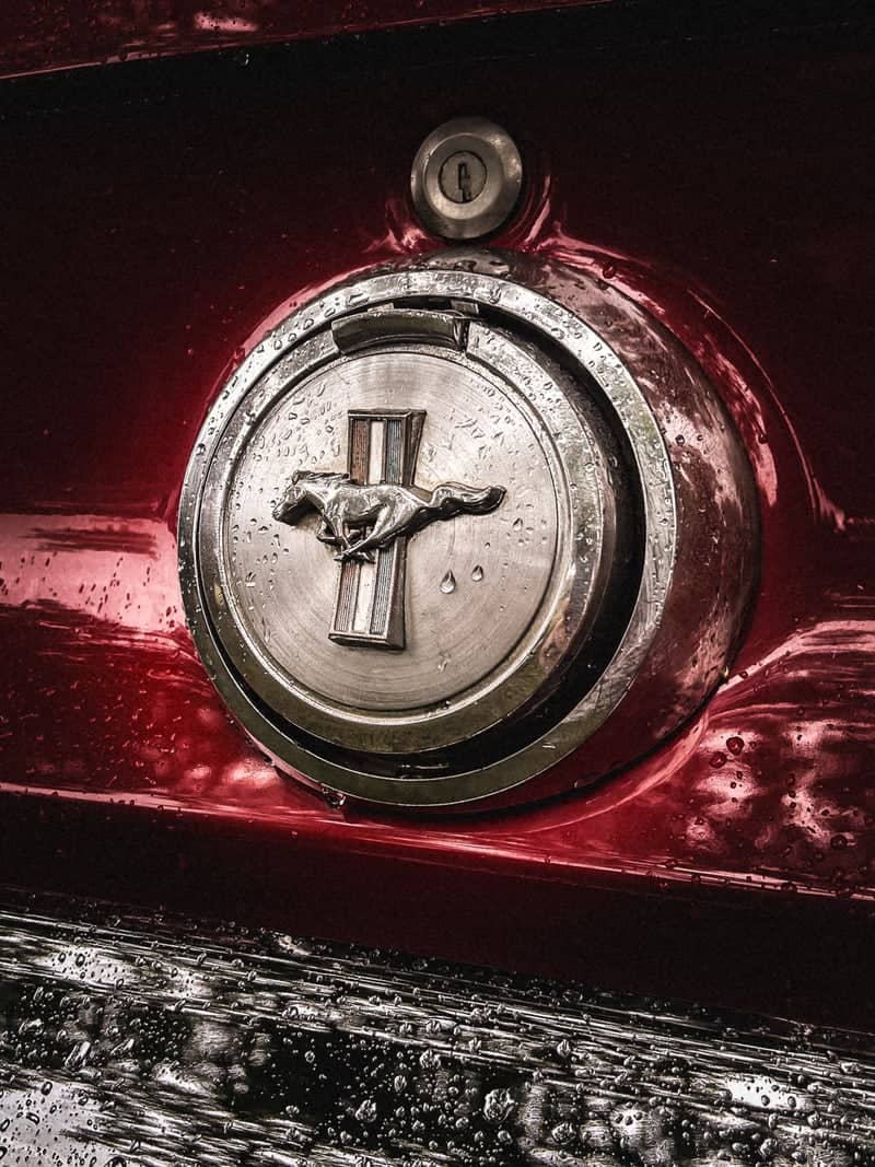 Classic Mustang Detail - Image 1
