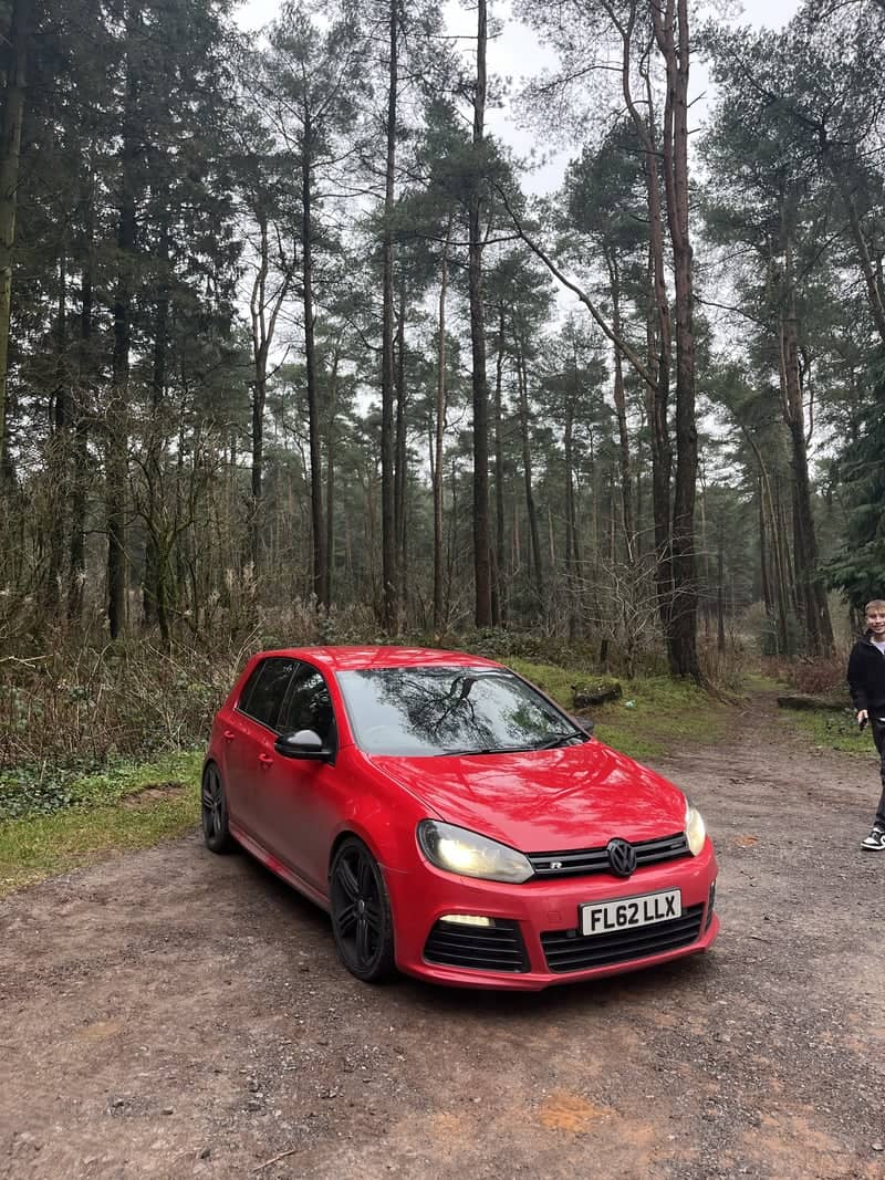 Stockhill Wood - Image 1
