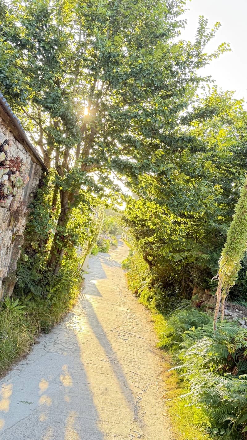 Sunlit Lane on St Martin's - Image 1