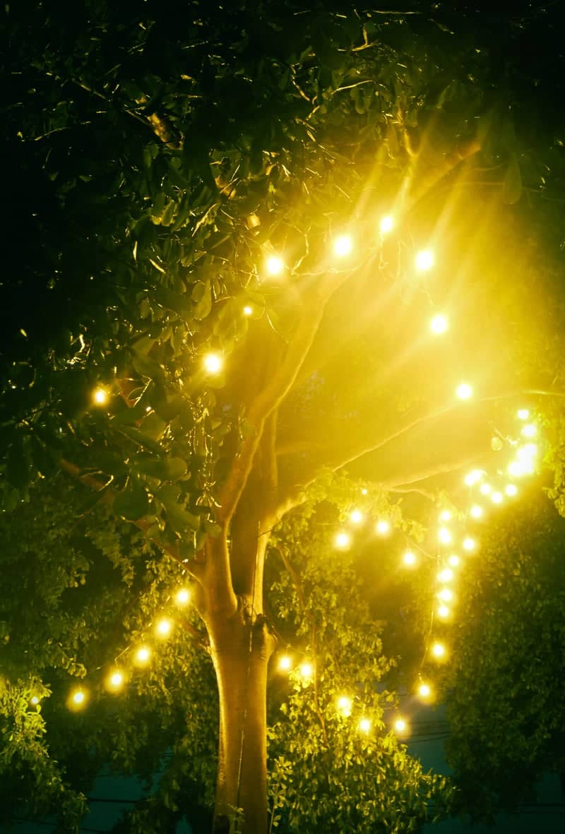 Illuminated Garden Tree - Image 1