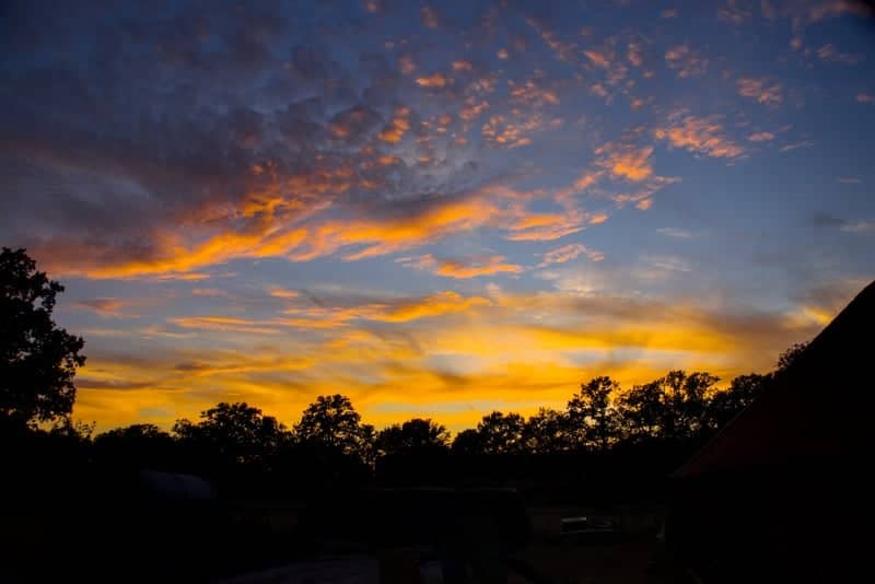 Markelo Countryside Sunset - Image 1