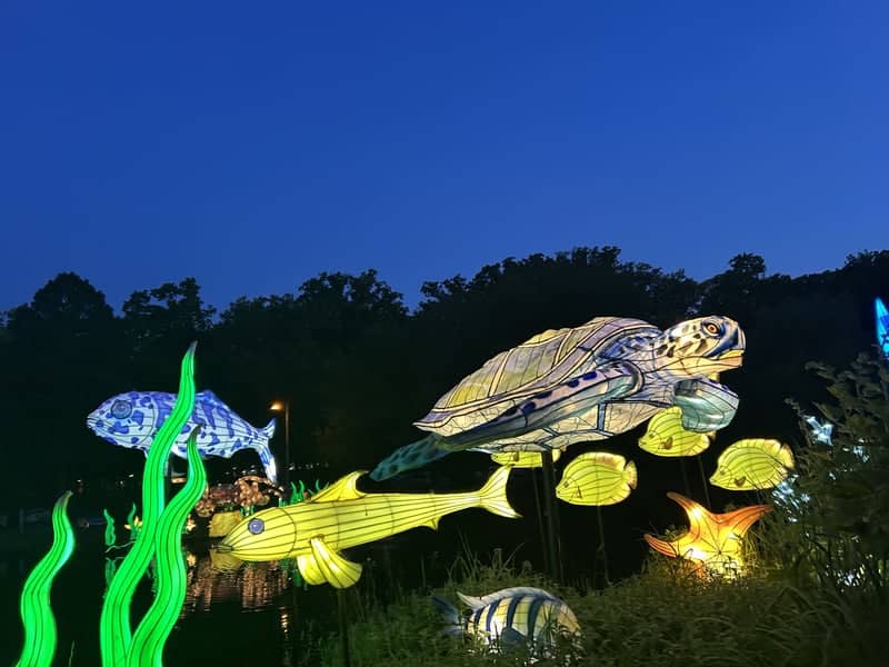 Potawatomi Zoo Lantern Festival - Image 1