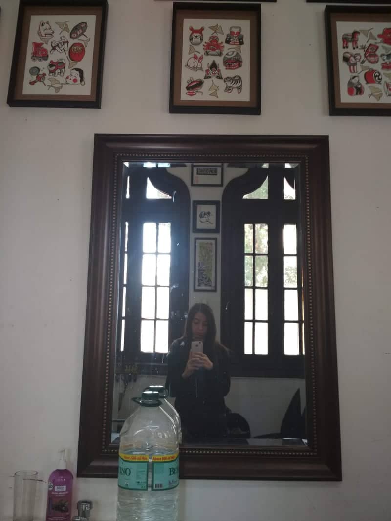 Maipú Interior with Arched Windows - Image 1