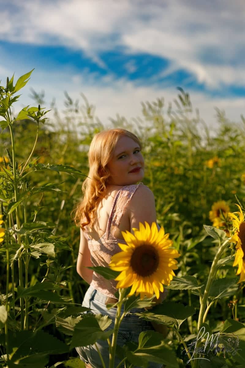 Hirsch Fruit Farm Sunflower Field - Image 4