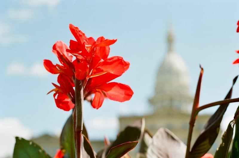 Michigan State Capitol Plaza - Image 3