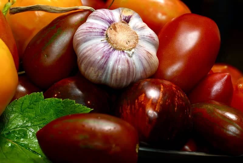 Kotovo Harvest Still Life - Image 1