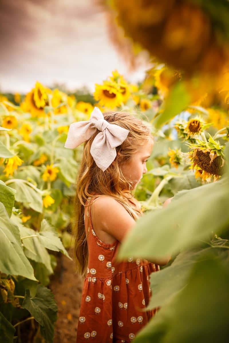 Dorothea Dix Park Sunflower Field - Image 1