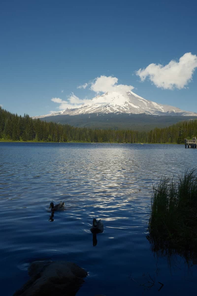 Trillium Lake - Image 1