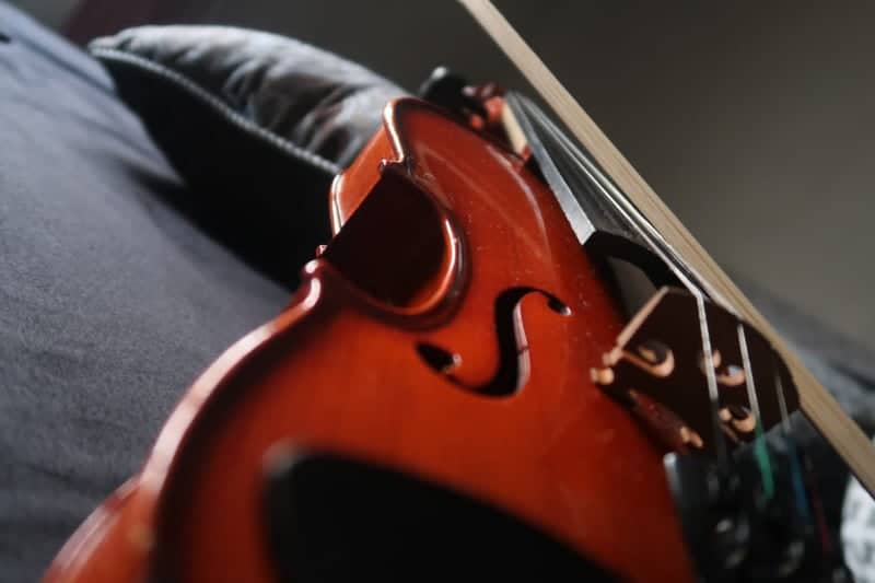 Violin Macro Study - Image 1