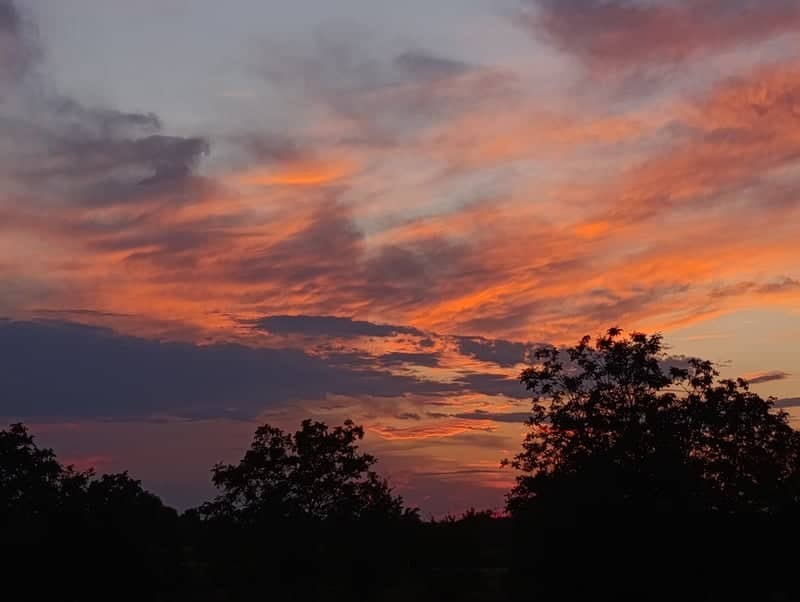 Hurbanovo Sunset Fields - Image 1