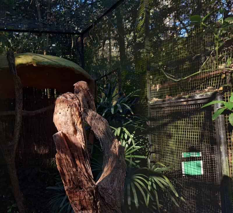 Parque das Aves - Image 1