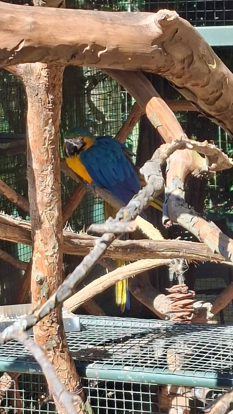 Parque das Aves - Image 1