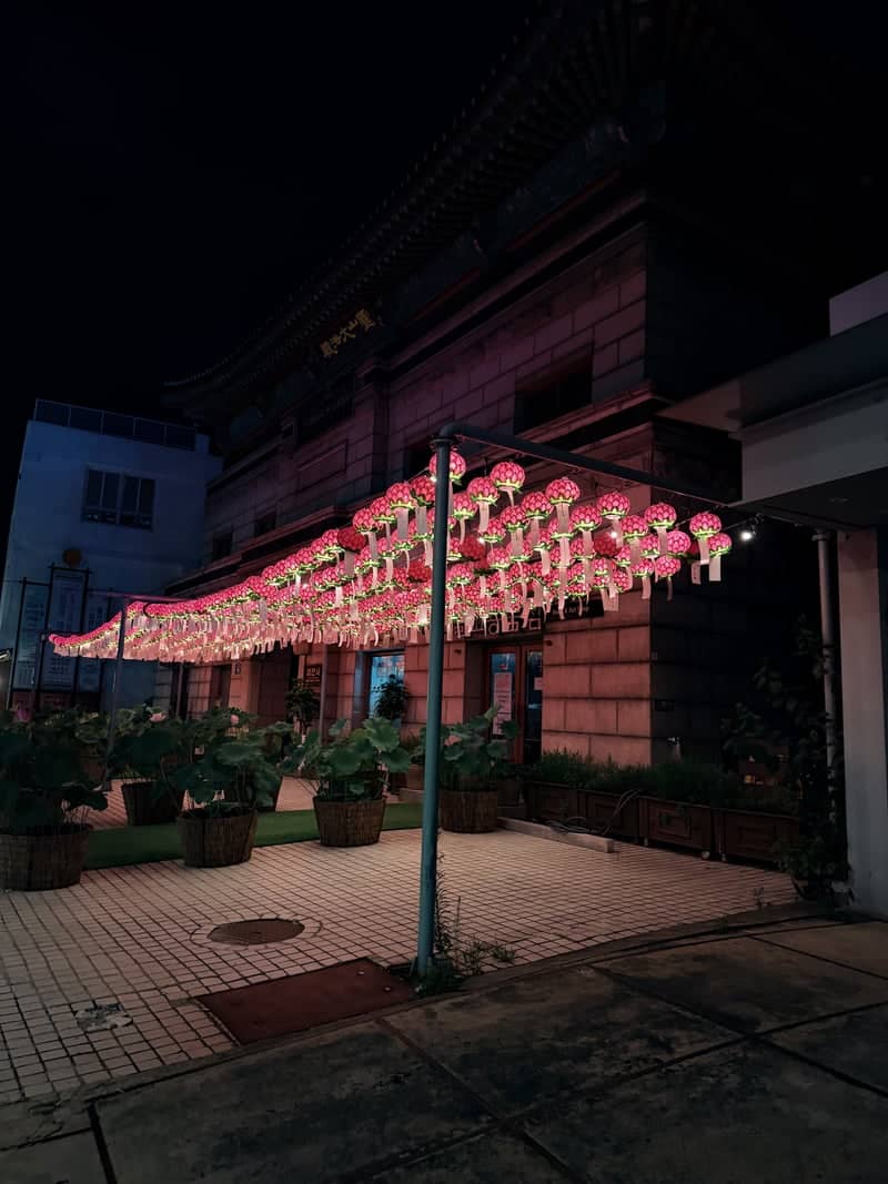 Samcheong-dong Lotus Lantern Display - Image 1
