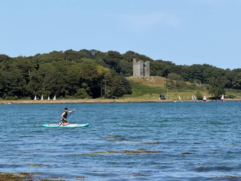 Audley's Castle, Castle Ward - Image 1