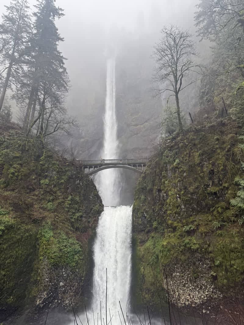 Multnomah Falls - Image 1