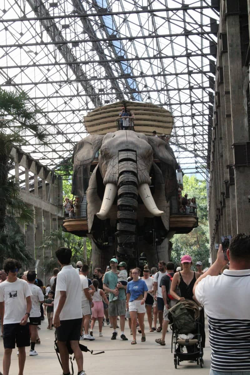 Les Machines de l'île - Le Grand Éléphant - Image 1