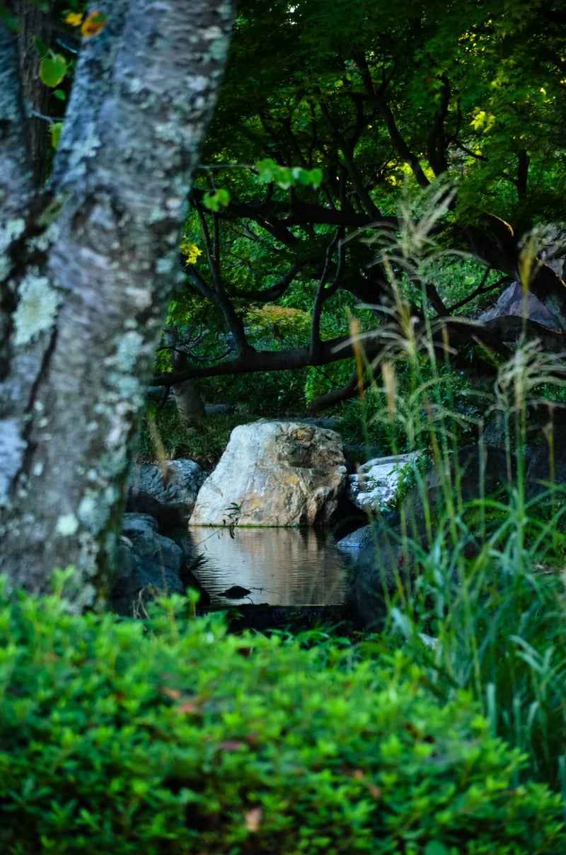 Shiawase no Mura Japanese Garden - Image 1