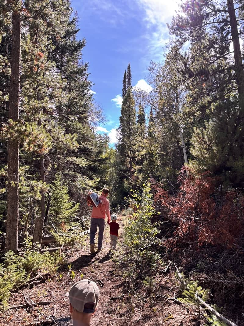 Medicine Bow Forest Trail - Image 1