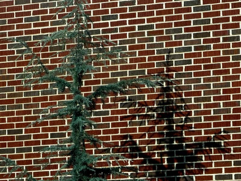 Cleveland Brick Textures - Image 1