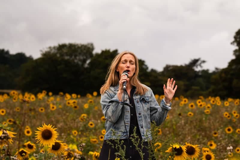 Oswestry Sunflower Meadow - Image 1