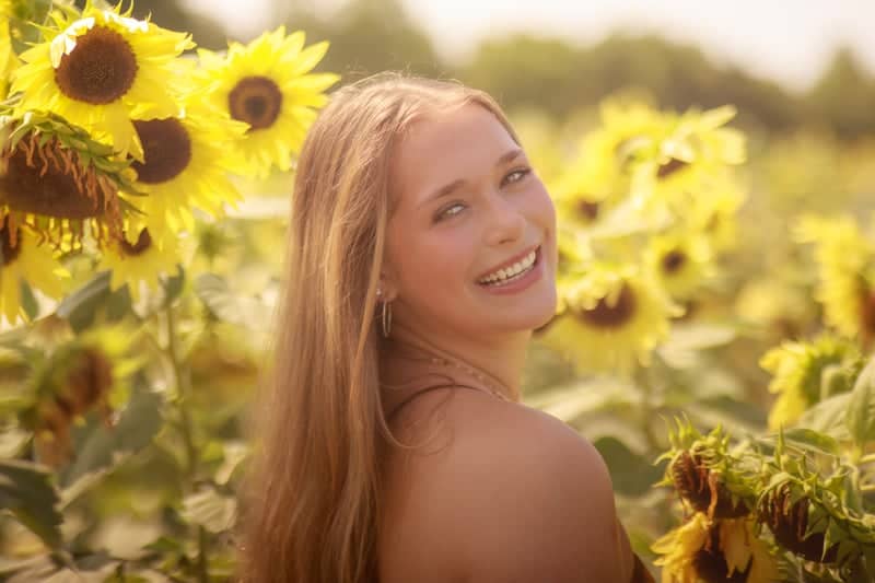 Heidi's Farmstand Sunflower Field - Image 1