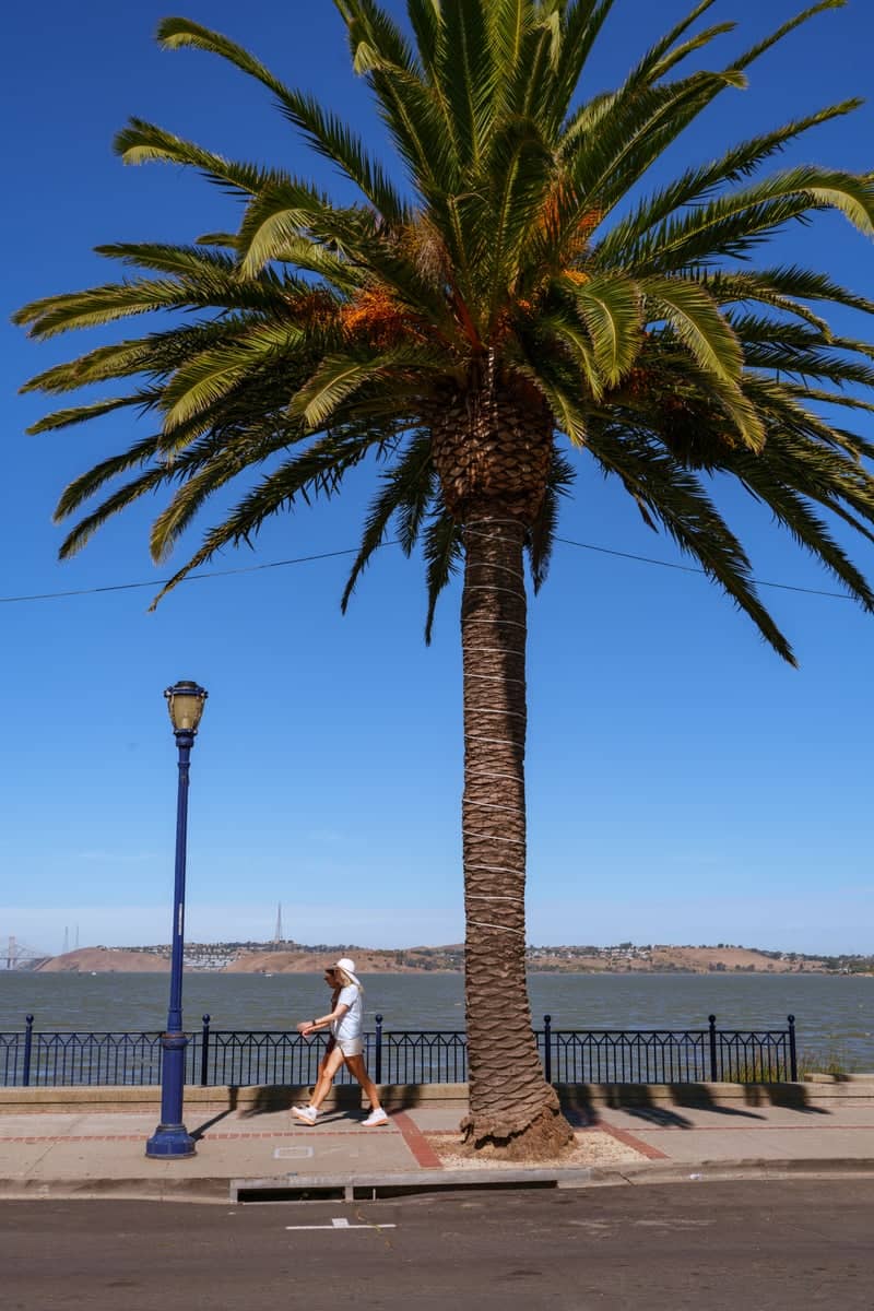 Benicia Waterfront Promenade - Image 1