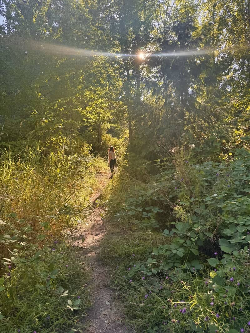 Lakewood Woodland Path - Image 1