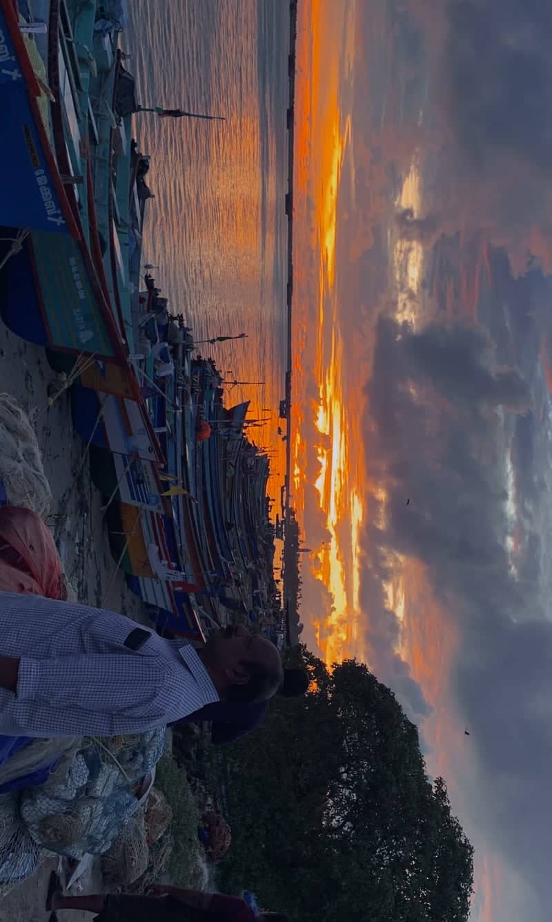 Kollam Fishing Harbor - Image 1