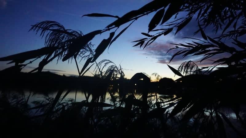 Komárovský Pond - Image 1
