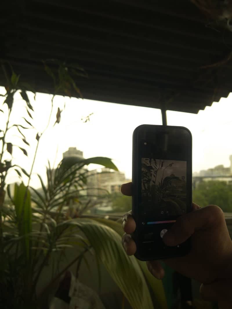 Kalyan Garden Macro Spot - Image 1
