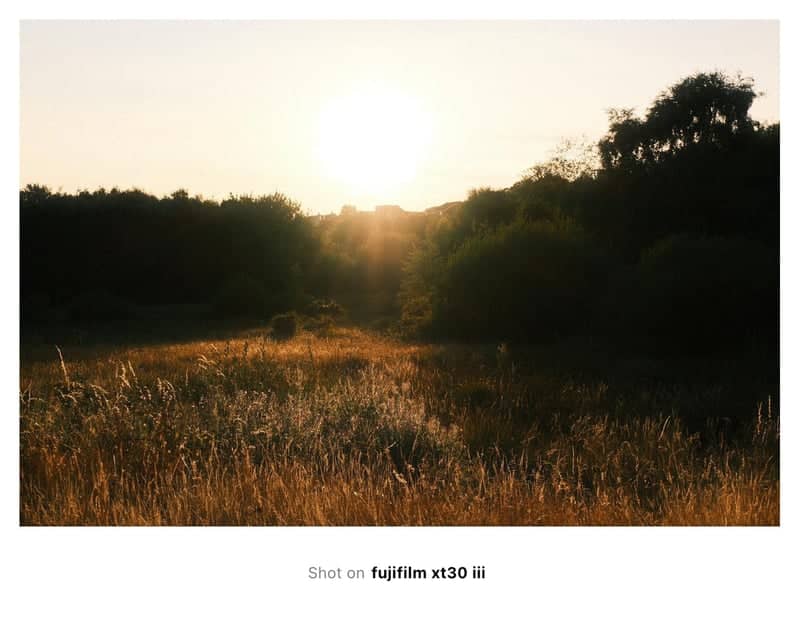 Plasmarl Meadow Sunset - Image 1