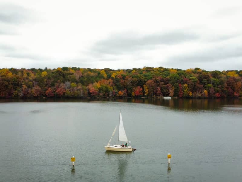 Lake Chapman at Sandy Creek Park - Image 1