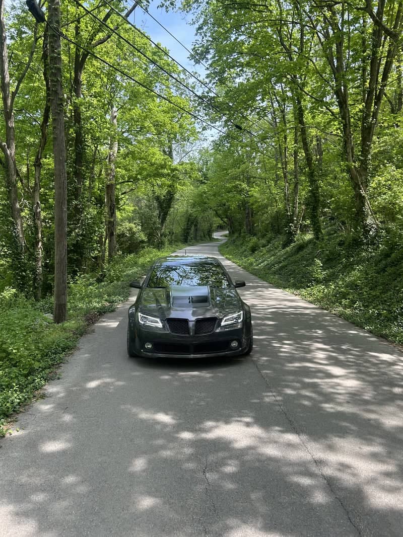 Stony Point Road Tree Tunnel - Image 1
