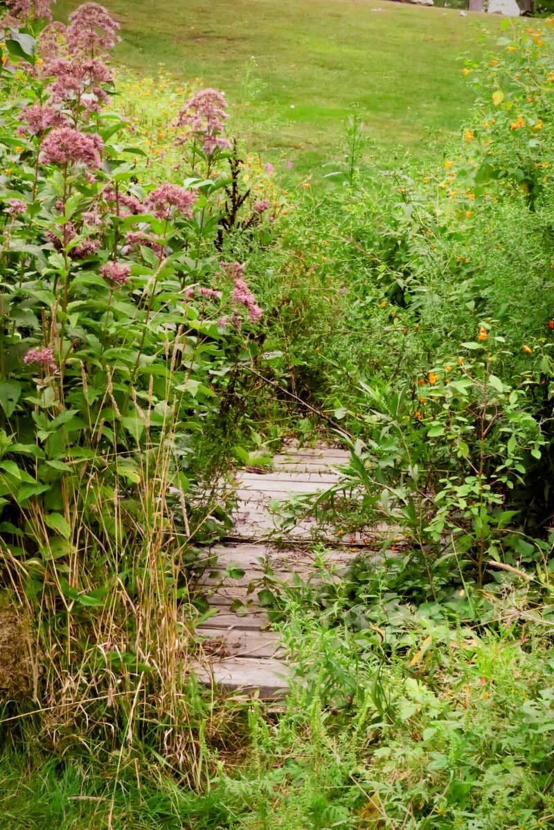 Livingston Park Nature Trail - Image 1