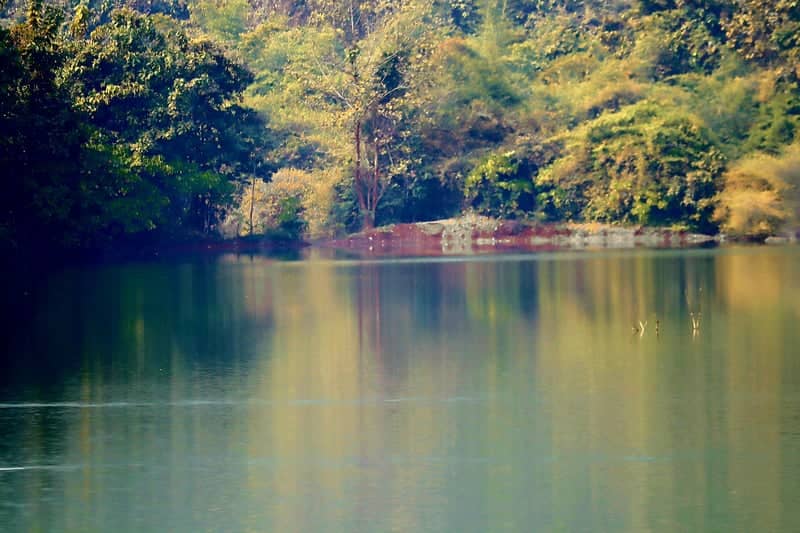 Cuttack Lakeside Reflection - Image 1