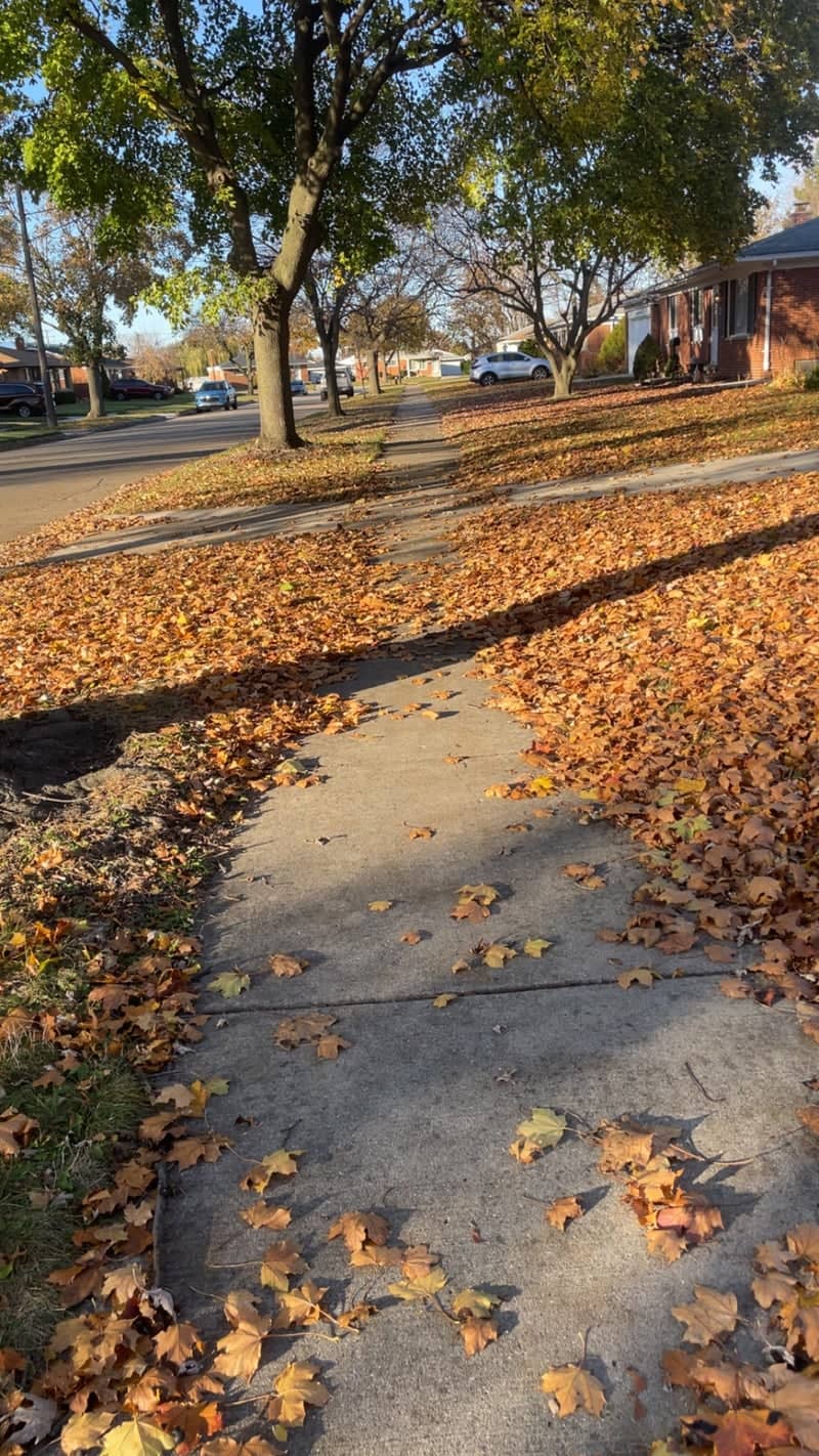 Autumn Suburban Sidewalk - Image 1
